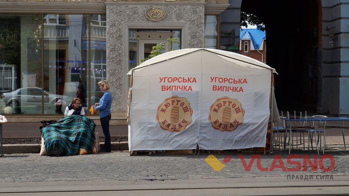 вінниця соборна день європи фото 