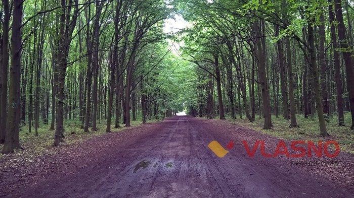 будівництво дитячого майданчика у Лісопарку фото