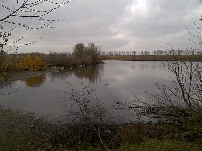 Мала Біла фото
