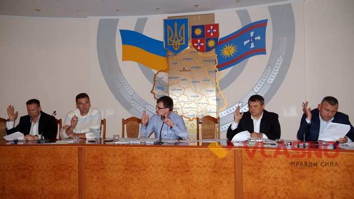 ккомісія Вінницької облради - Писарівка фото