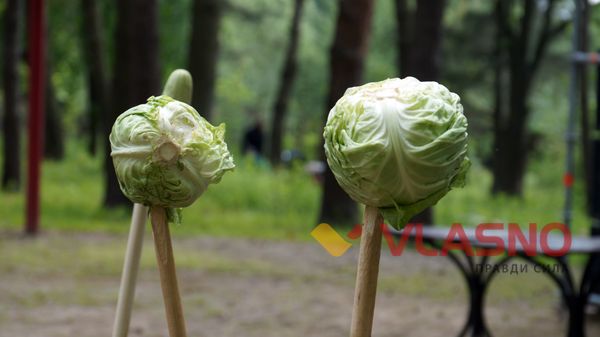 На Вінниччину з’їхалися байкери з Румунії, Болгарії, Греції