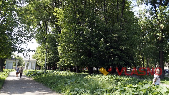 зелена зона парк "Хімік" фото