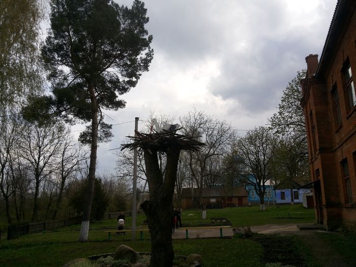 школа у селі Дзвониха фото