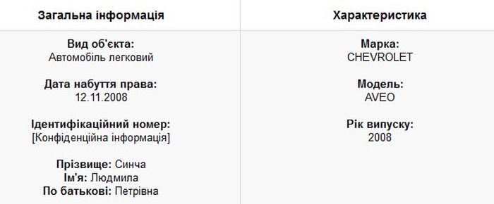 Синча-декларація-1-фото