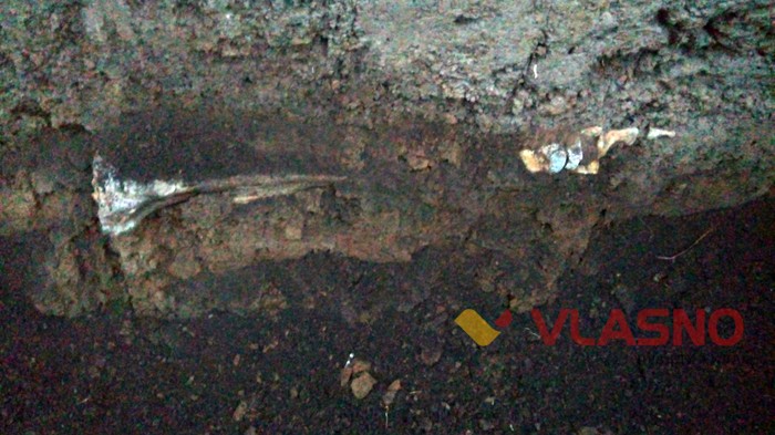 кістки на Замковій горі у Вінниці фото