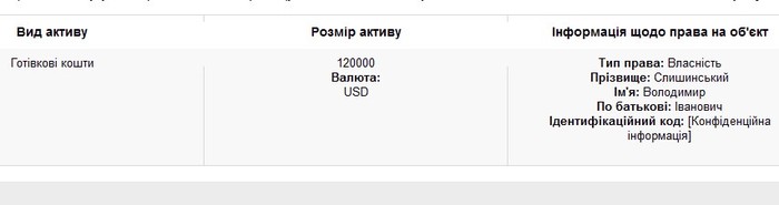 майно Володимира Слишинський фото