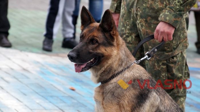 кінологи навчають дітей фото