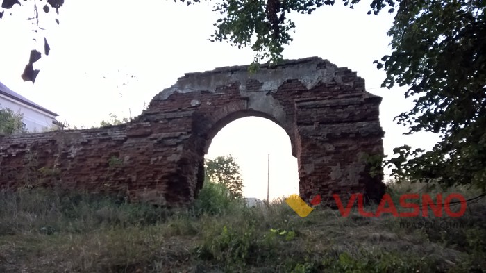 Куна фото