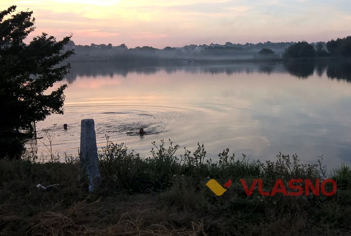 Куна фото