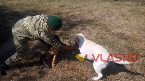 Як Чак, Бархан та «зелені берети» пильнують водний кордон України на Вінниччині 