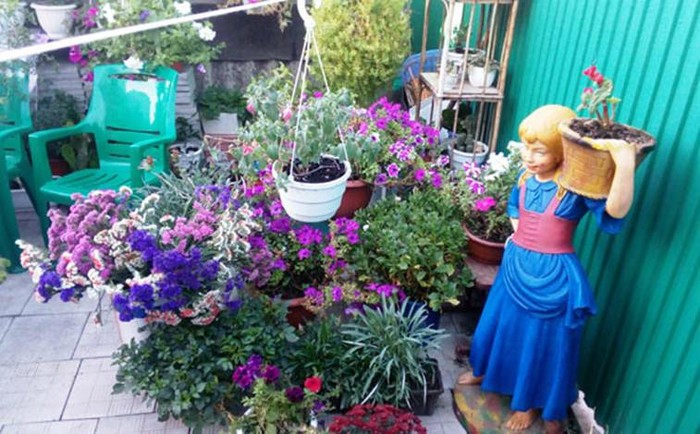 крадіжка у Калинівці фото