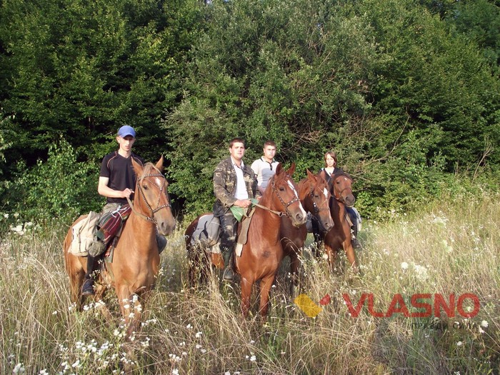 кінні екскурсії фото