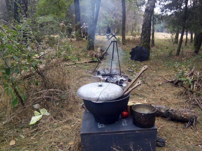 Ставка вервольф-2