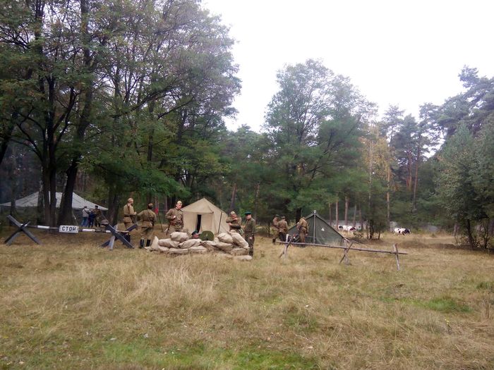Ставка вервольф-7
