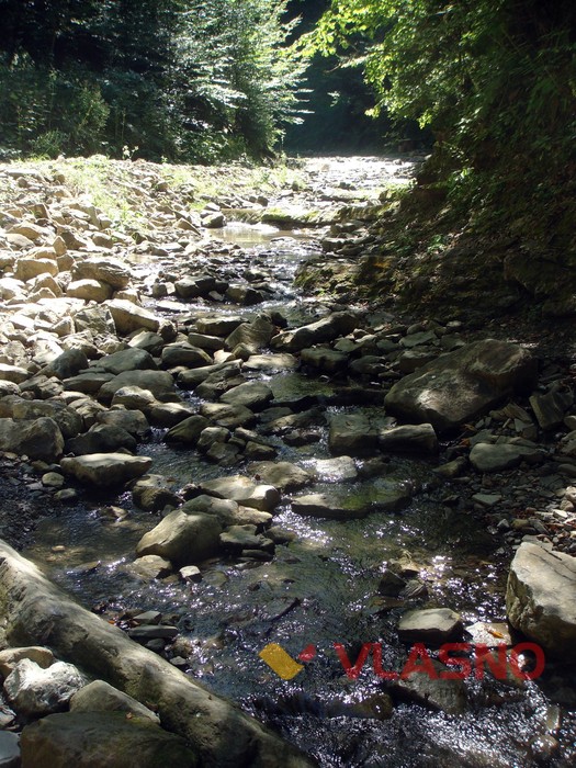 буковинські водоспади фото