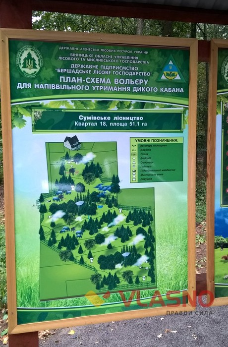 цілюще джерело у селі Сумівка на Вінниччині фото