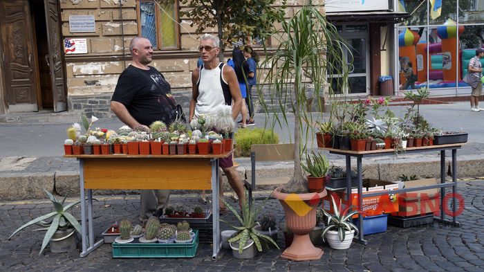 День міста Вінниці фото