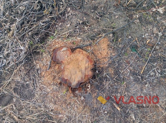 гребля в Немирові фото