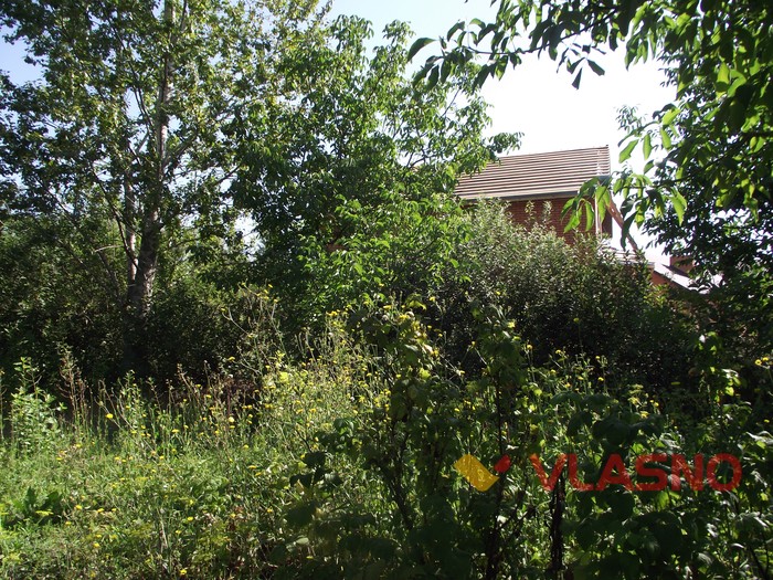 пенсіонеру не дають землю у Вінниці фото