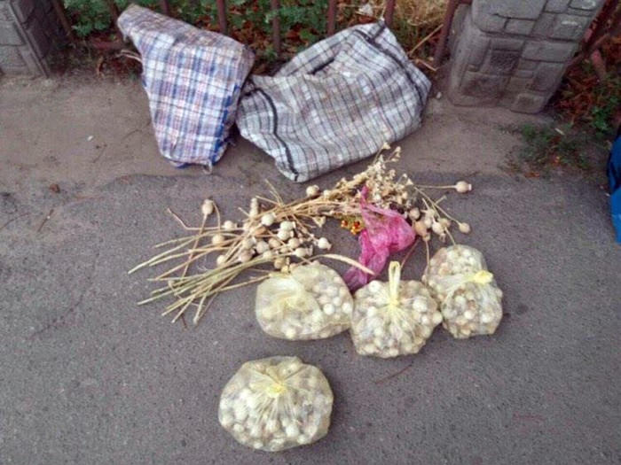 вилучили мак у мешканця Вінниччини фото