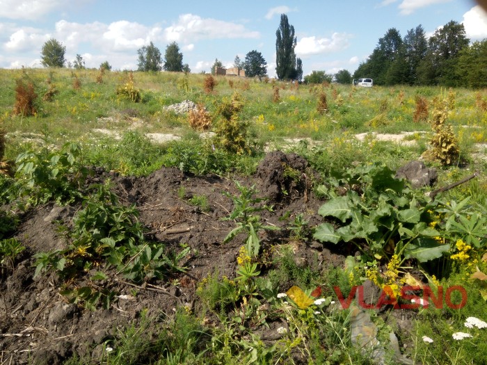 парк пам'яті в Новгороді-Волинському фото
