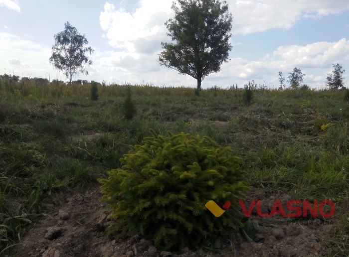 парк пам'яті в Новгороді-Волинському фото