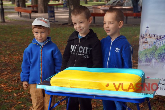 торт у вигляді українського прапора у Вінниці фото