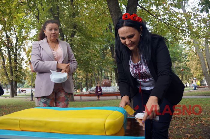 торт у вигляді українського прапора у Вінниці фото