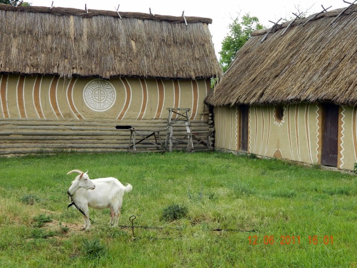 музей трипільської культури у селі Легедзине фото