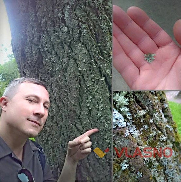 парфумер Богдан Зубченко фото