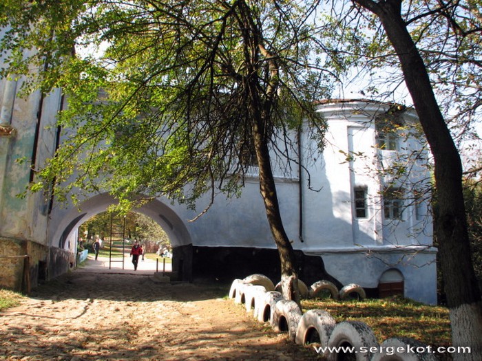 маєток у селі Носківці фото