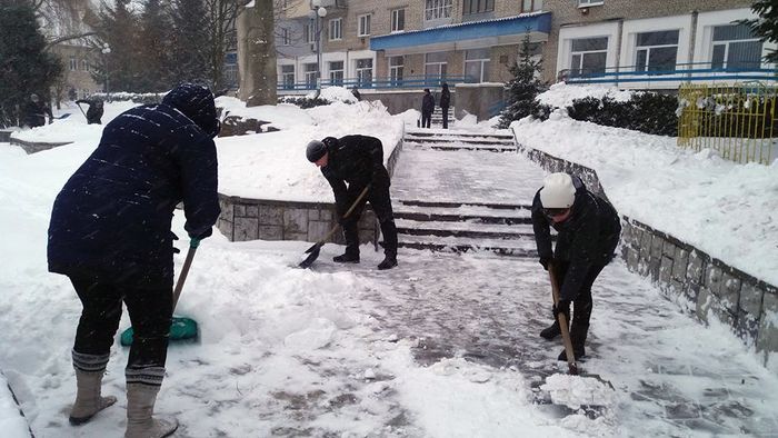 Жмеринчани вийшли на флешмоб із лопатами 