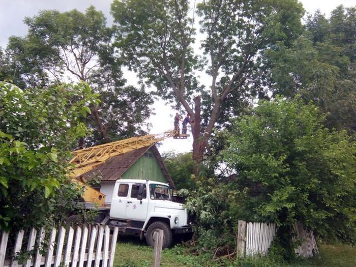 повалене дерево у селі Шевченко на Літинщині фото