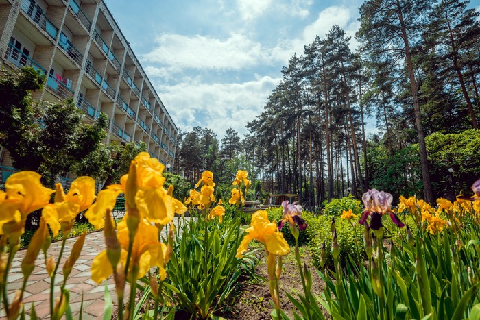 санаторій "Поділля" у Хмільнику фото