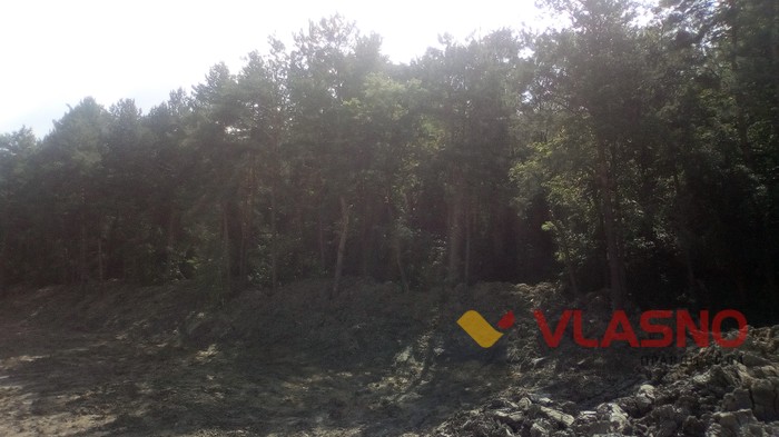 ставки в Тростянці фото