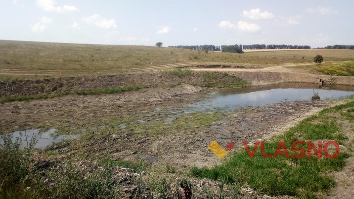 ставки в Тростянці фото