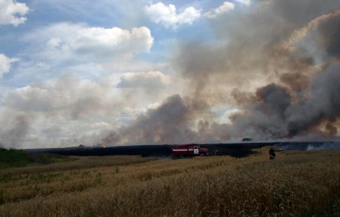 згоріло пшеничне поле на Донеччині фото