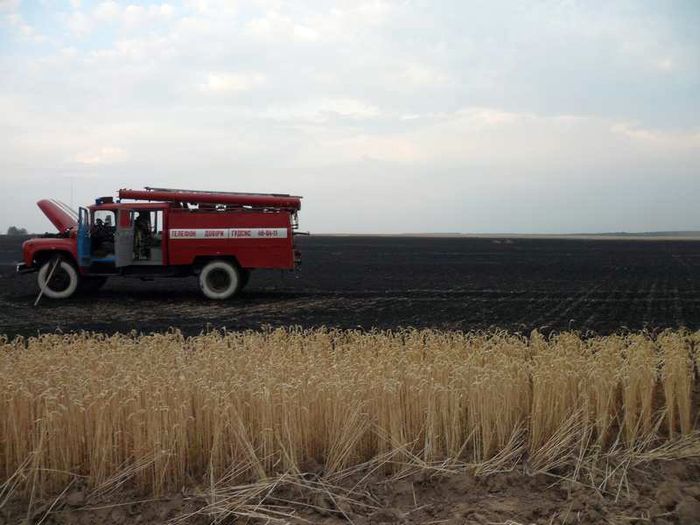 На Вінниччині горіло пшеничне поле
