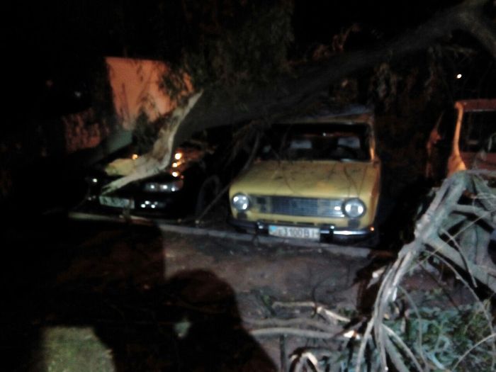 повалені дерева у Вінниці-2