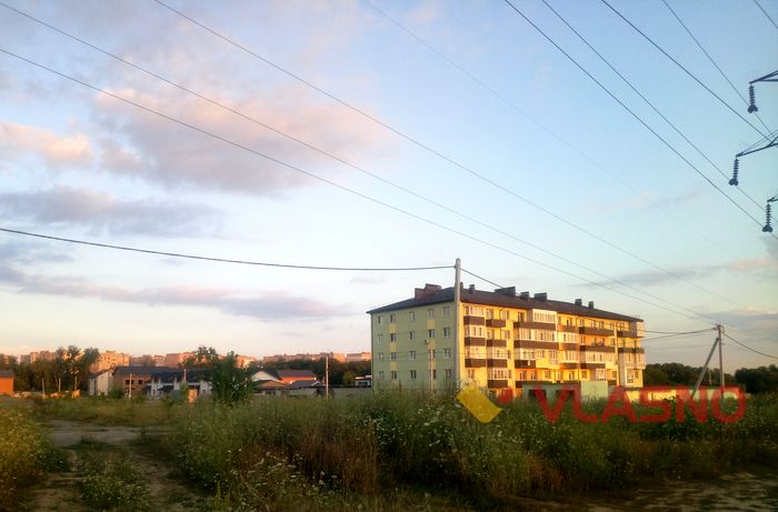 У Вінниці ліс віддали під сільськогосподарські потреби