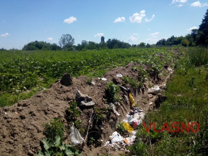 стрижавські смітники фото
