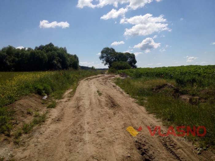 стрижавські смітники фото