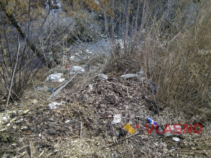 Дохлі курки на смітнику у Корделівці