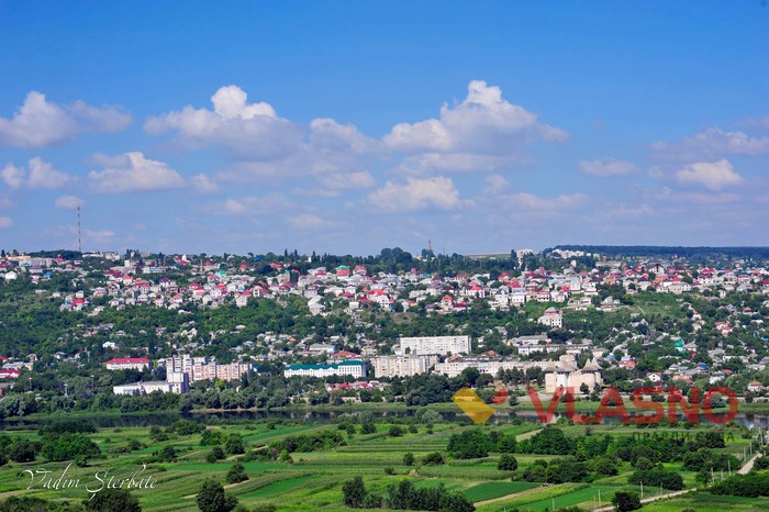 Сороки фото