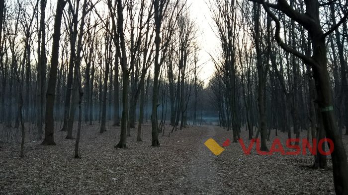 місця для пікніка у Вінниці фото