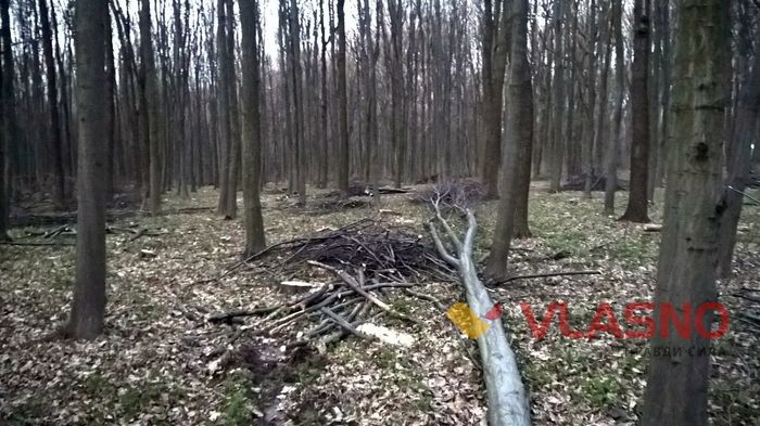 місця для пікніка у Вінниці фото