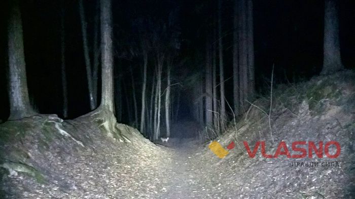 місця для пікніка у Вінниці фото