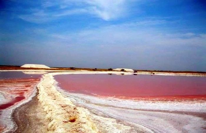 рожеве "мертве море" на Херсонщині фото