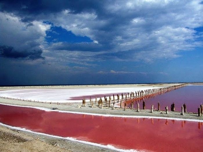 рожеве "мертве море" на Херсонщині фото