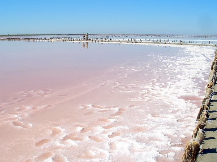 рожеве "мертве море" на Херсонщині фото